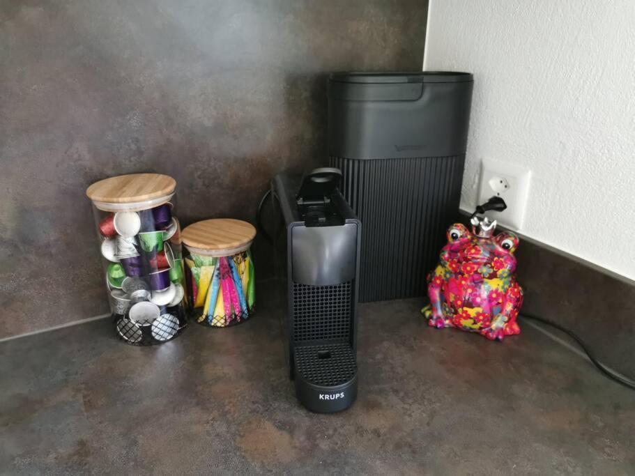 Schones Kleines Studio Mit Sitzplatz, Mitten Im Prattigau Jenaz Exteriör bild