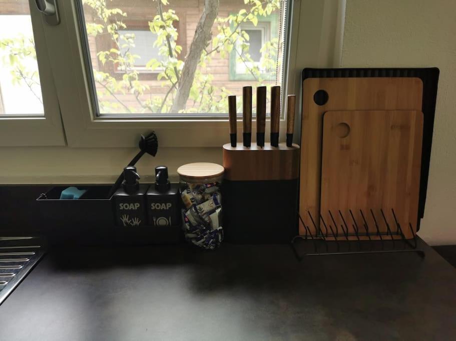 Schones Kleines Studio Mit Sitzplatz, Mitten Im Prattigau Jenaz Exteriör bild