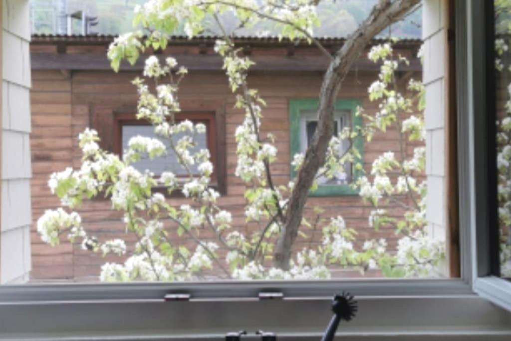 Schones Kleines Studio Mit Sitzplatz, Mitten Im Prattigau Jenaz Exteriör bild